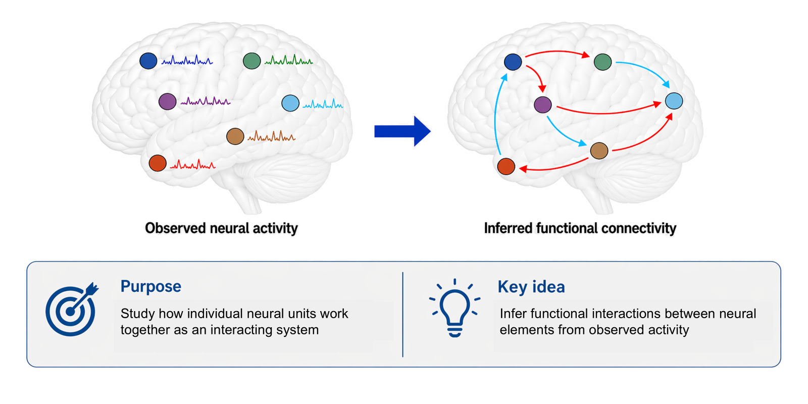 Slide: Neural functional connectivity